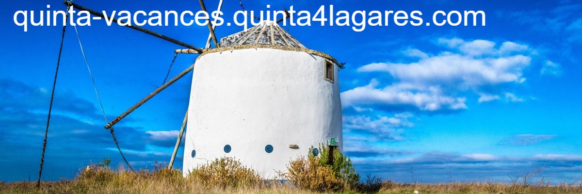 quinta-vacances.quinta4lagares.com